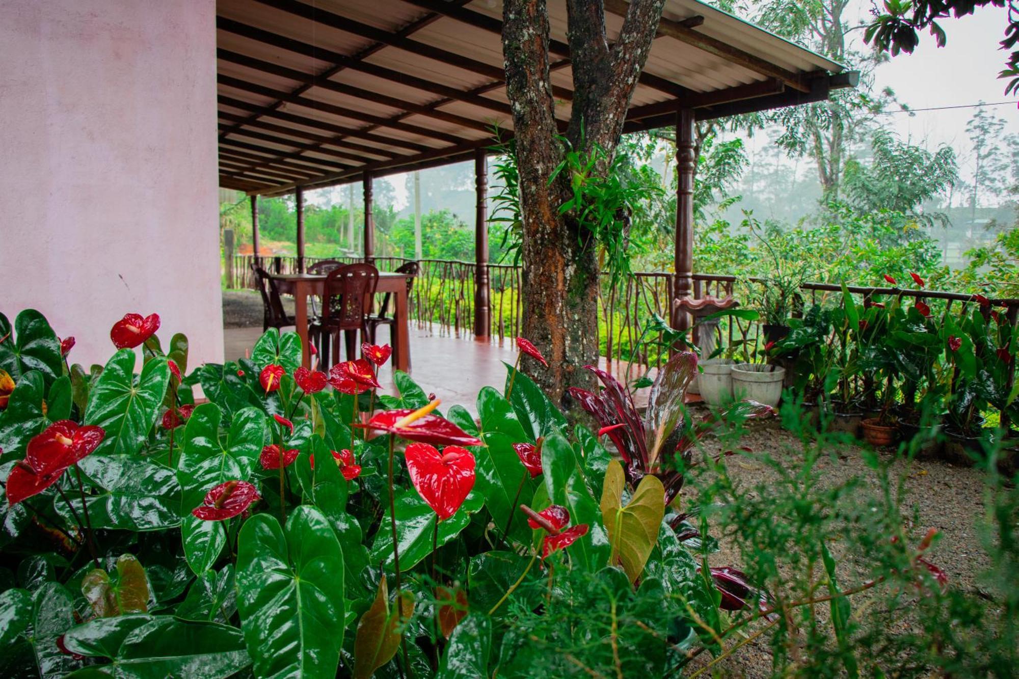 Nine Arch Homestay Ella Exterior foto